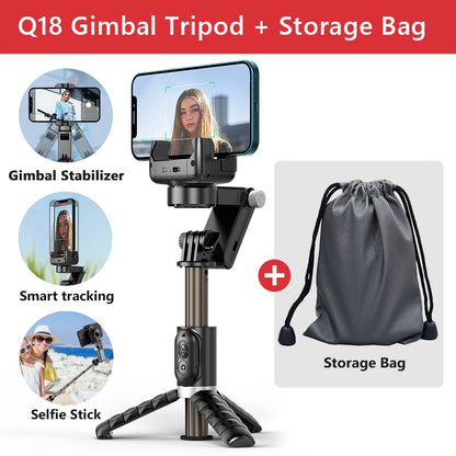 Gimbal Stabilizer Selfie Stick Tripod with Fill Light - Hobe.ie