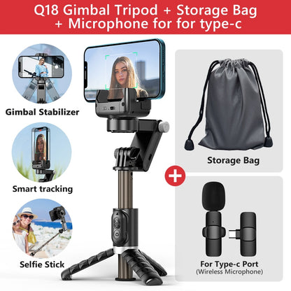 Gimbal Stabilizer Selfie Stick Tripod with Fill Light - Hobe.ie